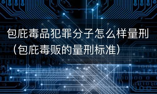 包庇毒品犯罪分子怎么样量刑（包庇毒贩的量刑标准）