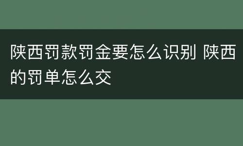 陕西罚款罚金要怎么识别 陕西的罚单怎么交