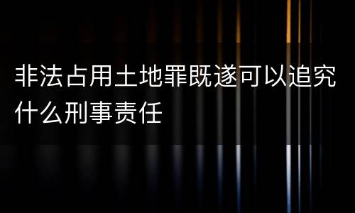 非法占用土地罪既遂可以追究什么刑事责任