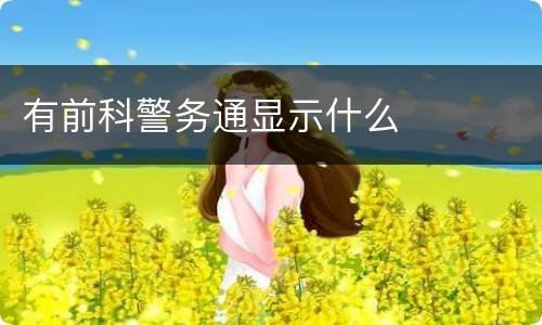 有前科警务通显示什么