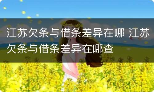 江苏欠条与借条差异在哪 江苏欠条与借条差异在哪查