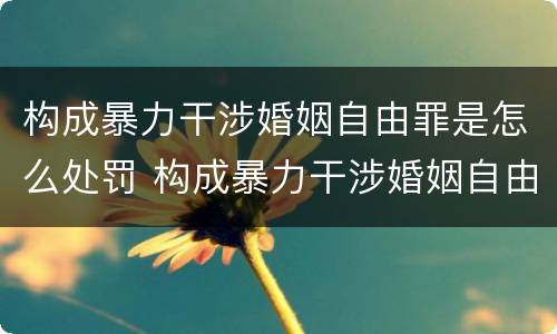 构成暴力干涉婚姻自由罪是怎么处罚 构成暴力干涉婚姻自由罪是怎么处罚的
