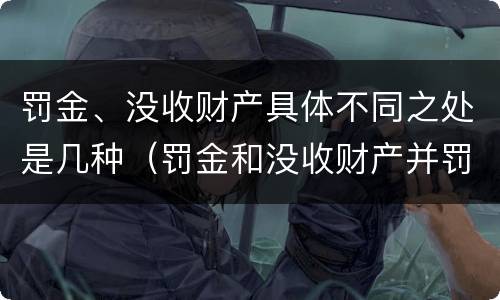 罚金、没收财产具体不同之处是几种（罚金和没收财产并罚的执行顺序）