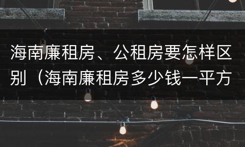 海南廉租房、公租房要怎样区别（海南廉租房多少钱一平方）