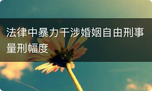 法律中暴力干涉婚姻自由刑事量刑幅度