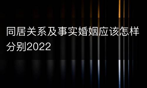 同居关系及事实婚姻应该怎样分别2022