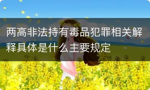 两高非法持有毒品犯罪相关解释具体是什么主要规定