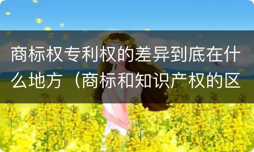 商标权专利权的差异到底在什么地方（商标和知识产权的区别）