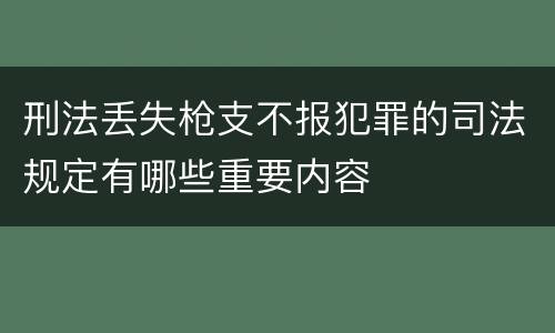 刑法丢失枪支不报犯罪的司法规定有哪些重要内容