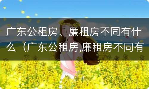 广东公租房、廉租房不同有什么（广东公租房,廉租房不同有什么影响）