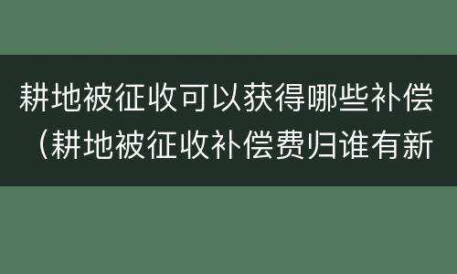 耕地被征收可以获得哪些补偿（耕地被征收补偿费归谁有新政策吗）