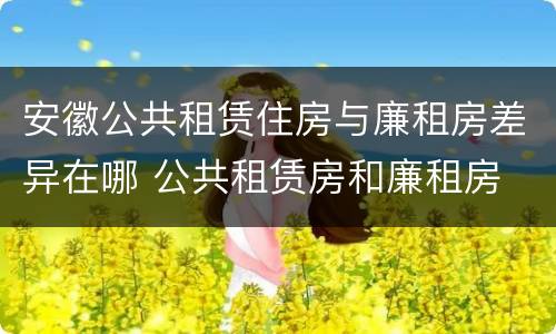 安徽公共租赁住房与廉租房差异在哪 公共租赁房和廉租房
