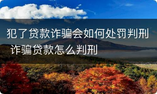 犯了贷款诈骗会如何处罚判刑 诈骗贷款怎么判刑