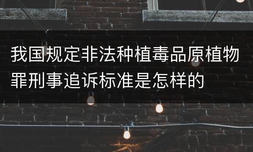 我国规定非法种植毒品原植物罪刑事追诉标准是怎样的