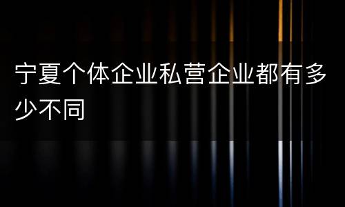 宁夏个体企业私营企业都有多少不同