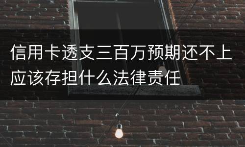 信用卡透支三百万预期还不上应该存担什么法律责任