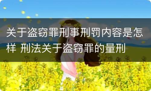 关于盗窃罪刑事刑罚内容是怎样 刑法关于盗窃罪的量刑