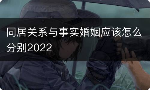 同居关系与事实婚姻应该怎么分别2022