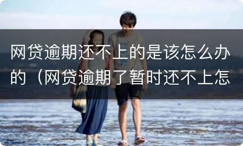 网贷逾期还不上的是该怎么办的（网贷逾期了暂时还不上怎么办2021）