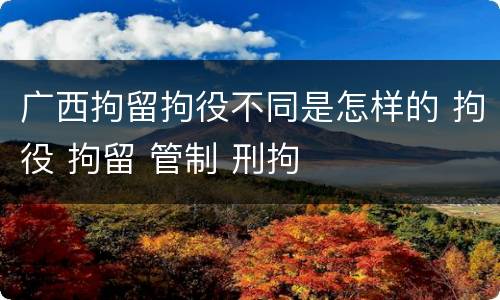 广西拘留拘役不同是怎样的 拘役 拘留 管制 刑拘