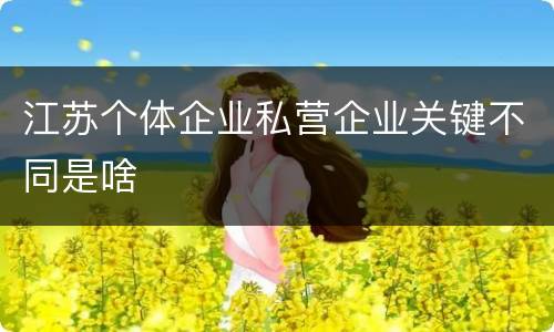 江苏个体企业私营企业关键不同是啥