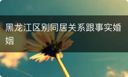 黑龙江区别同居关系跟事实婚姻
