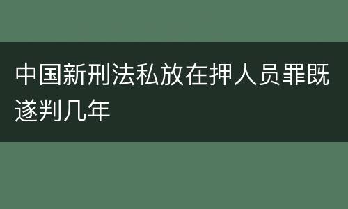 中国新刑法私放在押人员罪既遂判几年