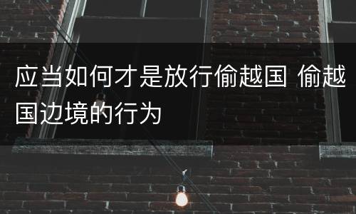 应当如何才是放行偷越国 偷越国边境的行为