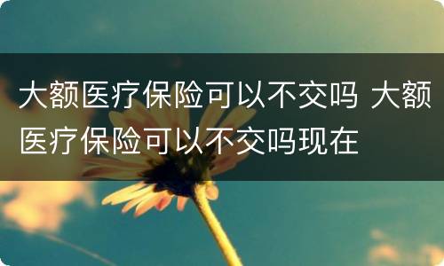 大额医疗保险可以不交吗 大额医疗保险可以不交吗现在