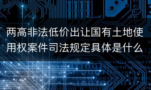 两高非法低价出让国有土地使用权案件司法规定具体是什么