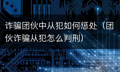 诈骗团伙中从犯如何惩处（团伙诈骗从犯怎么判刑）
