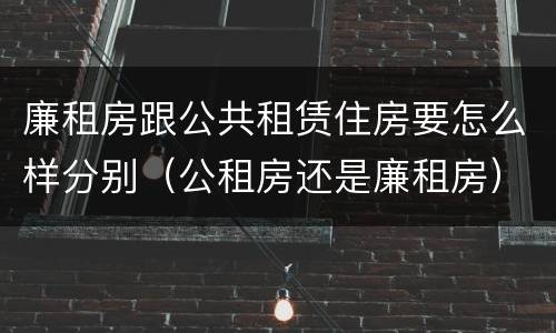 廉租房跟公共租赁住房要怎么样分别（公租房还是廉租房）