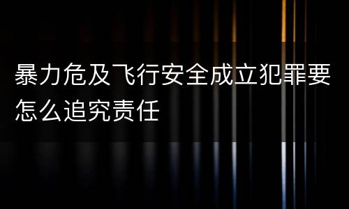 暴力危及飞行安全成立犯罪要怎么追究责任