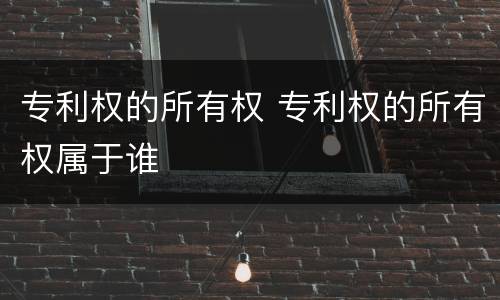 专利权的所有权 专利权的所有权属于谁