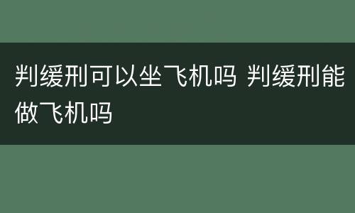 判缓刑可以坐飞机吗 判缓刑能做飞机吗