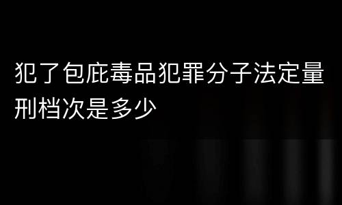 犯了包庇毒品犯罪分子法定量刑档次是多少