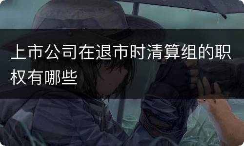 上市公司在退市时清算组的职权有哪些