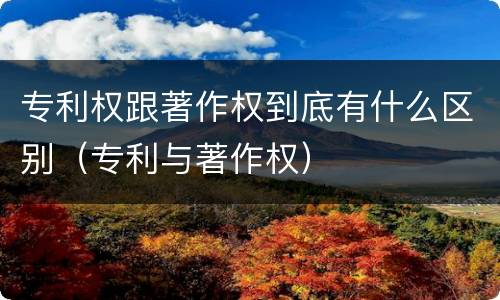 专利权跟著作权到底有什么区别（专利与著作权）