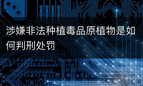 涉嫌非法种植毒品原植物是如何判刑处罚