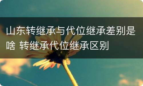 山东转继承与代位继承差别是啥 转继承代位继承区别