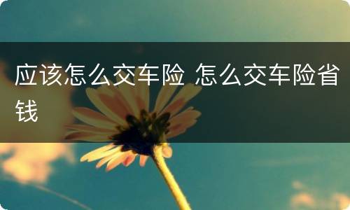 应该怎么交车险 怎么交车险省钱