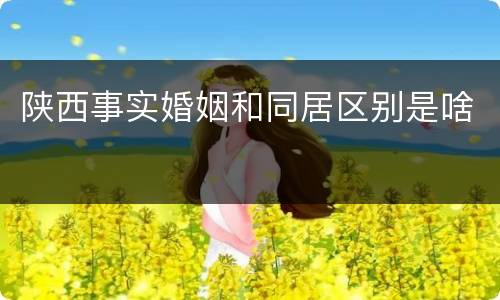 陕西事实婚姻和同居区别是啥