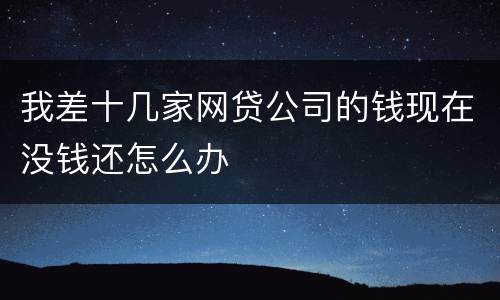 我差十几家网贷公司的钱现在没钱还怎么办
