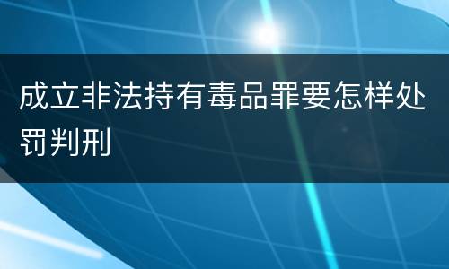 成立非法持有毒品罪要怎样处罚判刑