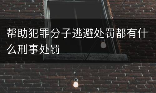 帮助犯罪分子逃避处罚都有什么刑事处罚