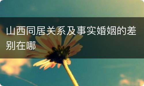 山西同居关系及事实婚姻的差别在哪
