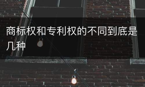 商标权和专利权的不同到底是几种