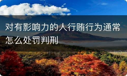 对有影响力的人行贿行为通常怎么处罚判刑