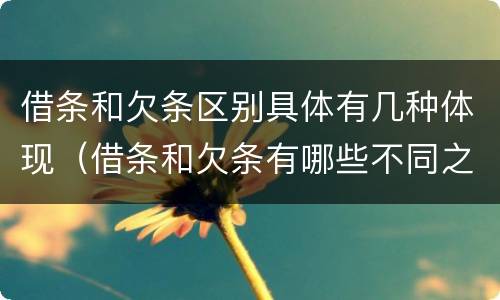 借条和欠条区别具体有几种体现（借条和欠条有哪些不同之处）