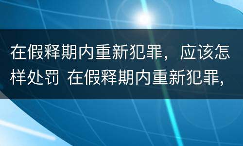 在假释期内重新犯罪，应该怎样处罚 在假释期内重新犯罪,应该怎样处罚他